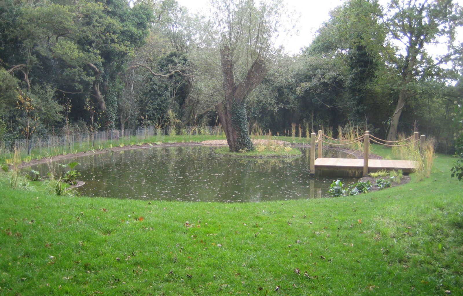 A natural large pond with island in middle containing mature willow tree. Pond has a wooden pontoon with roping to provide safe viewing and seating