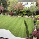 Newly laid turf with surrounding mature planted borders and patio area