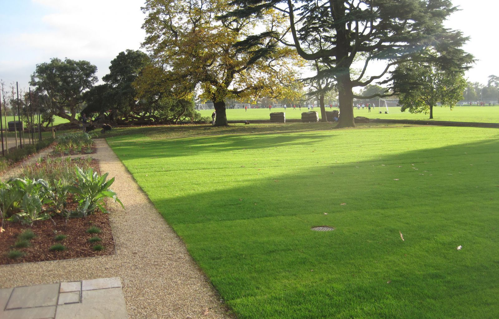 A large lawn area in front of mature trees and sports field in background