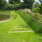 A natural pond within a wooden fenced paddock containing mown grass and long wildflower turf area.